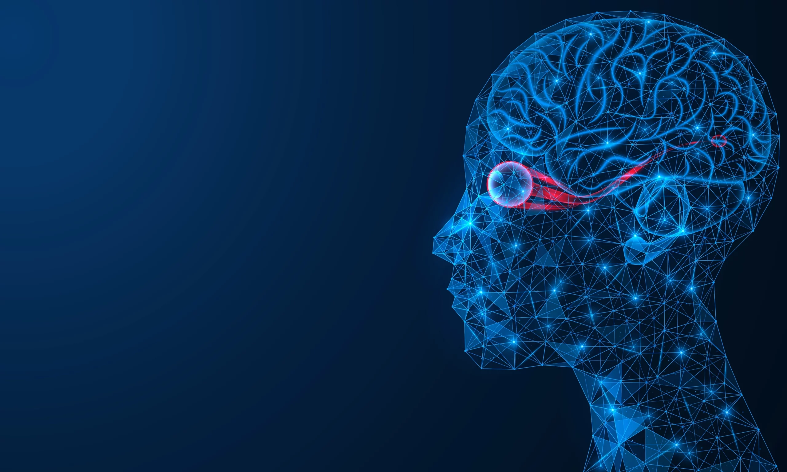 Consultation ophtalmologique — prise en charge des maladies oculaires